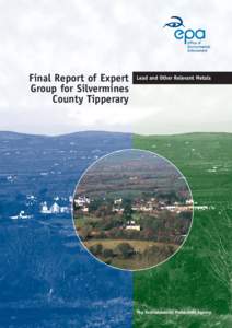 Final Report of Expert Group for Silvermines County Tipperary Lead and Other Relevant Metals