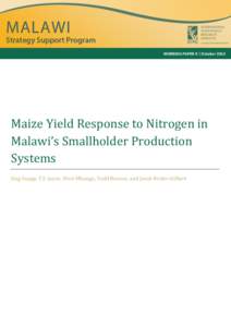 Maize Yield Response to Nitrogen in Malawi’s Smallholder Production Systems