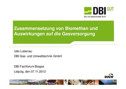 Zusammensetzung von Biomethan und Auswirkungen auf die Gasversorgung Udo Lubenau DBI Gas- und Umwelttechnik GmbH DBI Fachforum Biogas