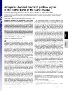 Amorphous diamond-structured photonic crystal in the feather barbs of the scarlet macaw Haiwei Yina,1, Biqin Donga,1, Xiaohan Liua, Tianrong Zhana, Lei Shia, Jian Zia,2, and Eli Yablonovitchb,2 a  Department of Physics, 