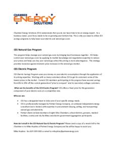 Chamber Energy Solutions (CES) understands that you do not have time to be an energy expert. As a business owner, your focus needs to be on growing your bottom line. This is why you need to utilize CES savings programs t