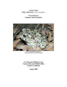 Arroyo Toad (Bufo californicus (=microscaphus)) 5-Year Review: