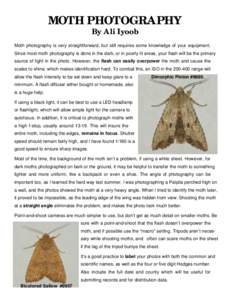 MOTH PHOTOGRAPHY By Ali Iyoob Moth photography is very straightforward, but still requires some knowledge of your equipment. Since most moth photography is done in the dark, or in poorly lit areas, your flash will be the