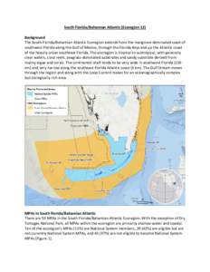 South Florida/Bahamian Atlantic (Ecoregion 12) Background The South Florida/Bahamian Atlantic Ecoregion extends from the mangrove-dominated coast of southwest Florida along the Gulf of Mexico, through the Florida Keys an