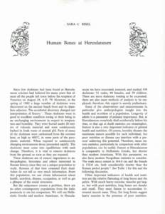 SARA C. BISEL  Human Bones at Herculaneum
