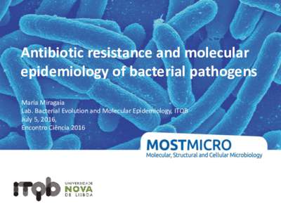 Antibiotic resistance and molecular epidemiology of bacterial pathogens Maria Miragaia Lab. Bacterial Evolution and Molecular Epidemiology, ITQB July 5, 2016, Encontro Ciência 2016