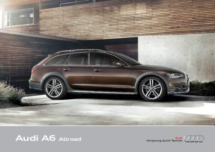 Audi A6  Allroad Aukahlutir •	 19