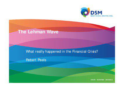 The Lehman Wave  What really happened in the Financial Crisis?