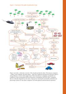 Figure 1: Overview of the palm oil production chain  Oil palm plantation Fresh fruit bunches (CPO) mill