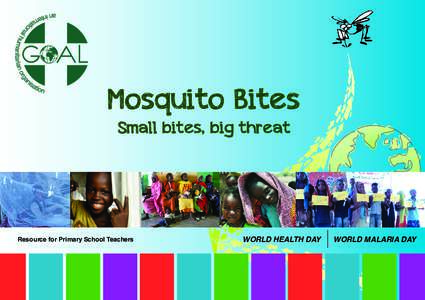 Mosquito Bites Small bites, big threat Resource for Primary School Teachers  WORLD HEALTH DAY