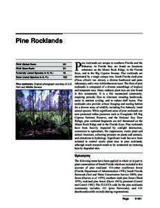 Pine Rocklands  P ine rocklands are unique to southern Florida and the Bahamas. In Florida they are found on limestone