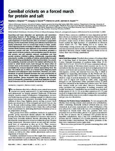 Cannibal crickets on a forced march for protein and salt Stephen J. Simpson*†‡§, Gregory A. Sword*‡¶, Patrick D. Lorch储, and Iain D. Couzin†** *School of Biological Sciences, University of Sydney, Heydon-Laur