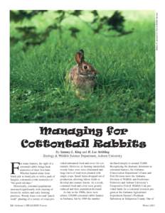 Cottontail rabbit / Systems ecology / Controlled burn / Wildfire / Land management / Biology / Eastern cottontail / Brush Rabbit / Sylvilagus / Meat / Rabbit