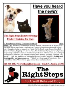 Have you heard the news? The Right Steps is now offering: Clicker Training for Cats! In-Home Private Training - Adventures in Clicker