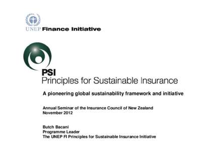 A pioneering global sustainability framework and initiative Annual Seminar of the Insurance Council of New Zealand November 2012 Butch Bacani Programme Leader
