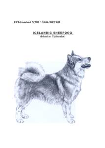 FCI-Standard N°[removed]/ GB ICELANDIC SHEEPDOG (Islenskur Fjárhundur)