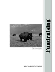 Bison, Fort Niobrara NWR, Nebraska  Fundraising © John and Karen Hollingsworth