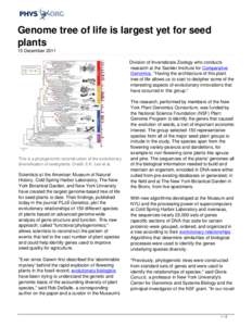 Genome tree of life is largest yet for seed plants