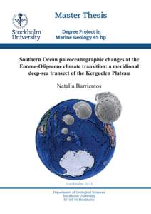 2013_natalia-barrientos_msc-marine-geology_45hp.pdf