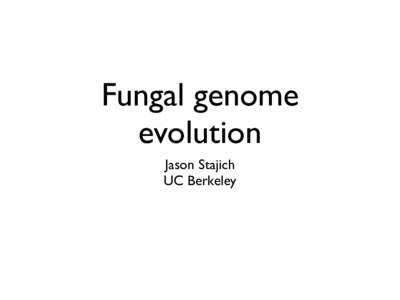 Fungal genome evolution Jason Stajich UC Berkeley  Fitzpatrick DA, Logue ME, Stajich JE, Butler G. BMC Evolutionary Biology 2006