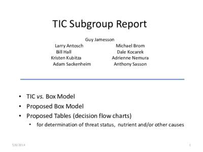 TIC Subgroup Report Guy Jamesson Larry Antosch Bill Hall Kristen Kubitza