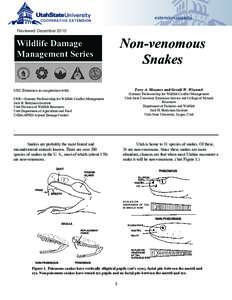 extension.usu.edu Reviewed December 2010 Non-venomous Snakes