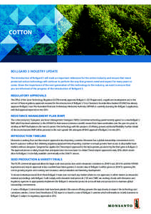 COTTON  BOLLGARD 3 INDUSTRY UPDATE The introduction of Bollgard 3 will mark an important milestone for the cotton industry and ensure that insect protected cotton technology will continue to perform the way that growers 