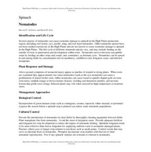 High Plains IPM Guide, a cooperative effort of the University of Wyoming, University of Nebraska, Colorado State University and Montana State University. Spinach Nematodes Howard F. Schwartz and David H. Gent