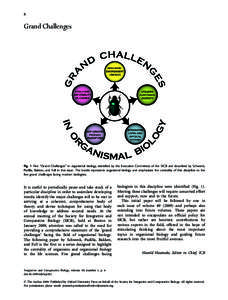 6  Grand Challenges Fig. 1 Five ‘‘Grand Challenges’’ in organismal biology, identified by the Executive Committee of the SICB and described by Schwenk, Padilla, Bakken, and Full in this issue. The beetle represen