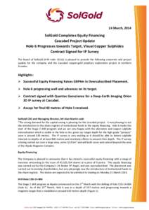 Microsoft Word[removed]Equity Financing Hole 6  IP Survey _PDF Version_