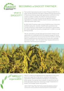 SAGCOT Partnering Brochure_FINAL copy