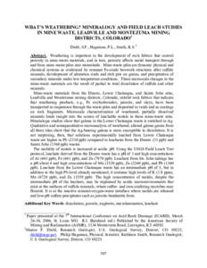 Acid Drainage and Metal Transport from the Weathering of the Dinero Waste Pile, Lake Fork Watershed, Leadville, Colorado