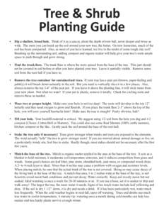 Tree & Shrub Planting Guide •	 Dig a shallow, broad hole. Think of it as a saucer, about the depth of root ball, never deeper and twice as wide. The more you can break up the soil around your new tree, the better. On n