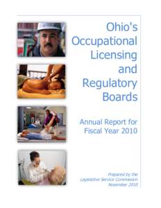 2007 Occupational Licensing and Regulatory Board Report