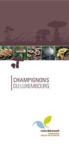 CHAMPIGNONS DU LUXEMBOURG SOUTENIR NOTRE FONDATION Grâce aux dons, natur&ëmwelt Fondation Hëllef fir d’Natur