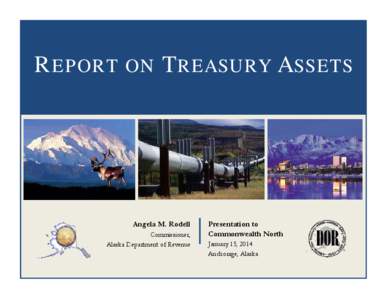 Microsoft PowerPoint - SOA Report on Treasury Assets[removed]Read-Only]