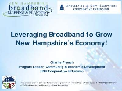 Leveraging Broadband to Promote Economic Development
