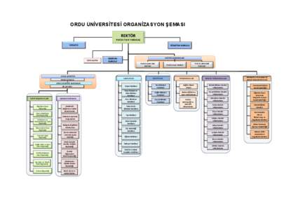 ORDU ÜNİVERSİTESİ ORGANİZASYON ŞEMASI REKTÖR Prof.Dr.Tarık YARILGAÇ