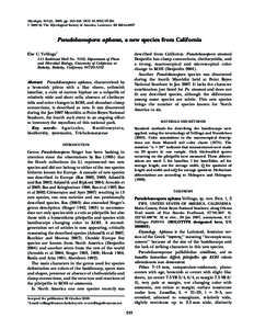 Mycologia, 101(2), 2009, pp. 243–246. DOI:  # 2009 by The Mycological Society of America, Lawrence, KSPseudobaeospora aphana, a new species from California Else C. Vellinga1