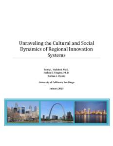 Unraveling the Cultural and Social Dynamics of Regional Innovation Systems