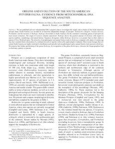 ORIGINS AND EVOLUTION OF THE SOUTH AMERICAN PITVIPER FAUNA: EVIDENCE FROM MITOCHONDRIAL DNA SEQUENCE ANALYSIS