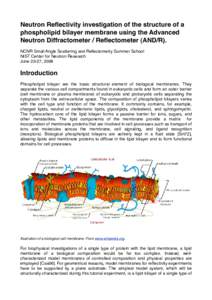 Model lipid bilayer / Cell membrane / Membrane protein / Neutron reflectometry / Phospholipid / Vesicle / Lipid / Biological membrane / Lipid bilayer characterization / Biology / Membrane biology / Lipid bilayer