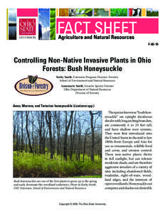 Controlling Non-Native Invasive Plants in Ohio Forests: Bush Honeysuckle