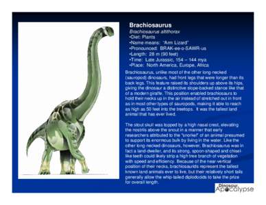 Brachiosaurus Brachiosaurus altithorax •Diet: Plants •Name means: “Arm Lizard” •Pronounced: BRAK-ee-o-SAWR-us •Length: 28 m (90 feet)