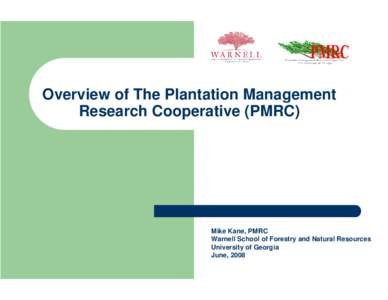 Intensive Management  of Loblolly Pine: