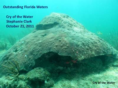 Outstanding Florida Waters Cry of the Water Stephanie Clark October 21, 2011  Cry of the Water