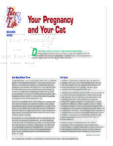 Your Pregnancy & Your Cat
