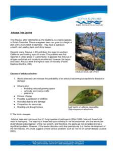 Microsoft Word - Diseases Affecting Arbutus Trees in BC.doc