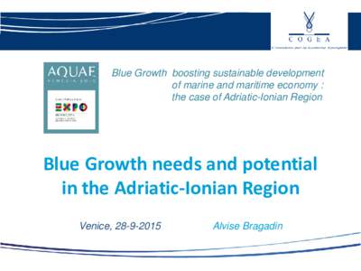 Blue Growth boosting sustainable development of marine and maritime economy : the case of Adriatic-Ionian Region Blue Growth needs and potential in the Adriatic-Ionian Region