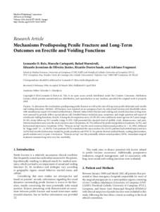 Mechanisms Predisposing Penile Fracture and Long-Term Outcomes on Erectile and Voiding Functions